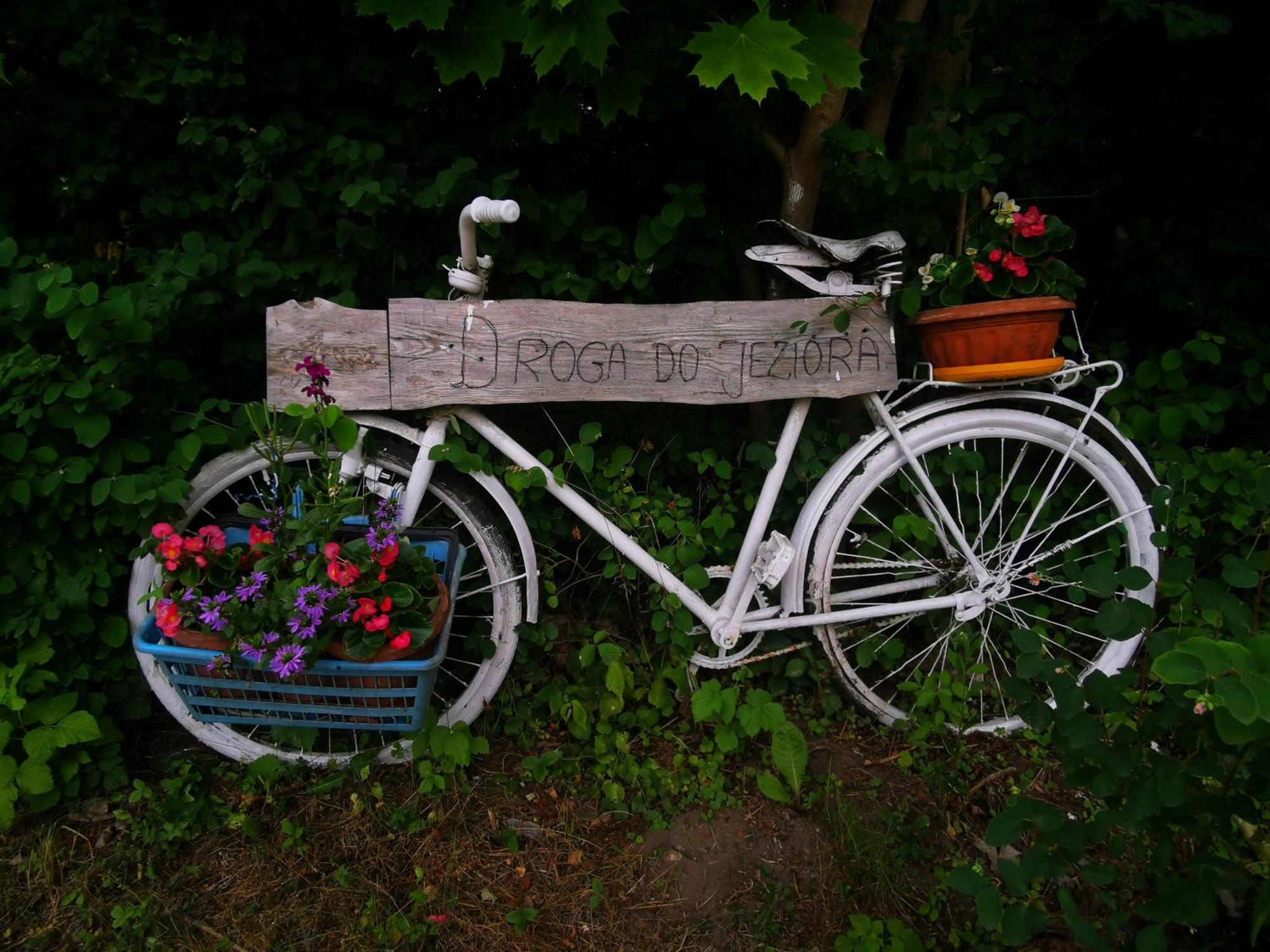 Gospodarstwo Nad Jeziorem Zalom  Buitenkant foto