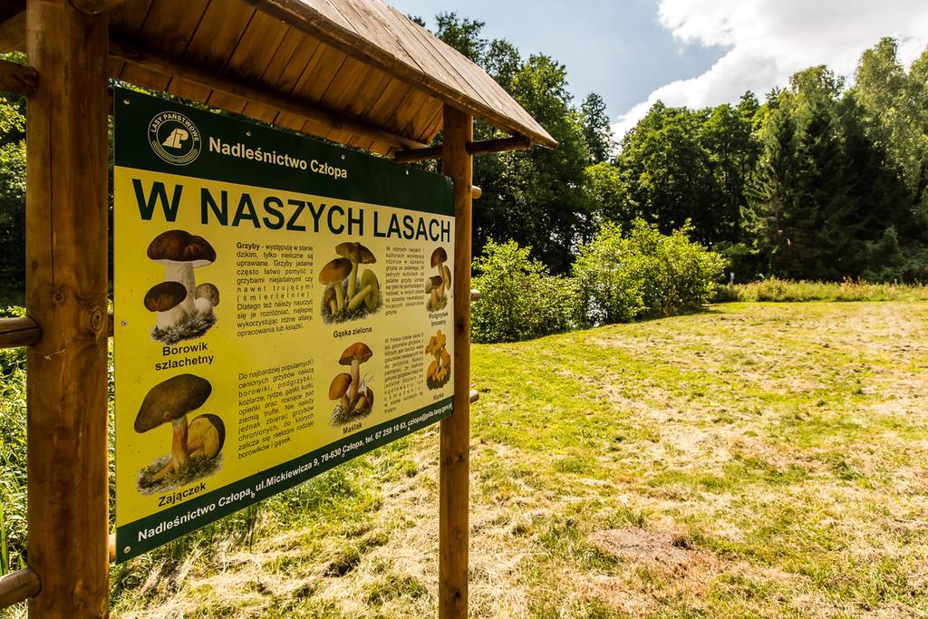 Gospodarstwo Nad Jeziorem Zalom  Buitenkant foto