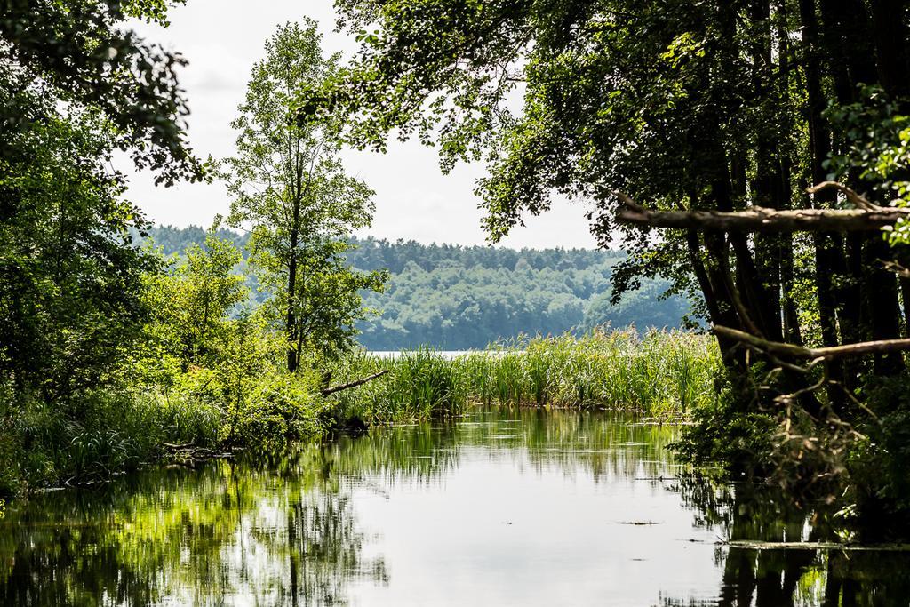 Gospodarstwo Nad Jeziorem Zalom  Buitenkant foto