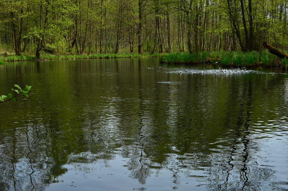Gospodarstwo Nad Jeziorem Zalom  Buitenkant foto